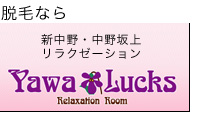 ヤワラックス